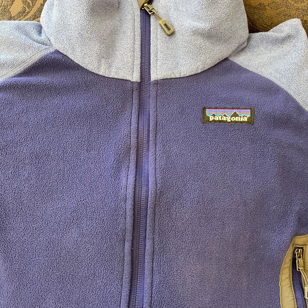 Patagonia fleece jacket